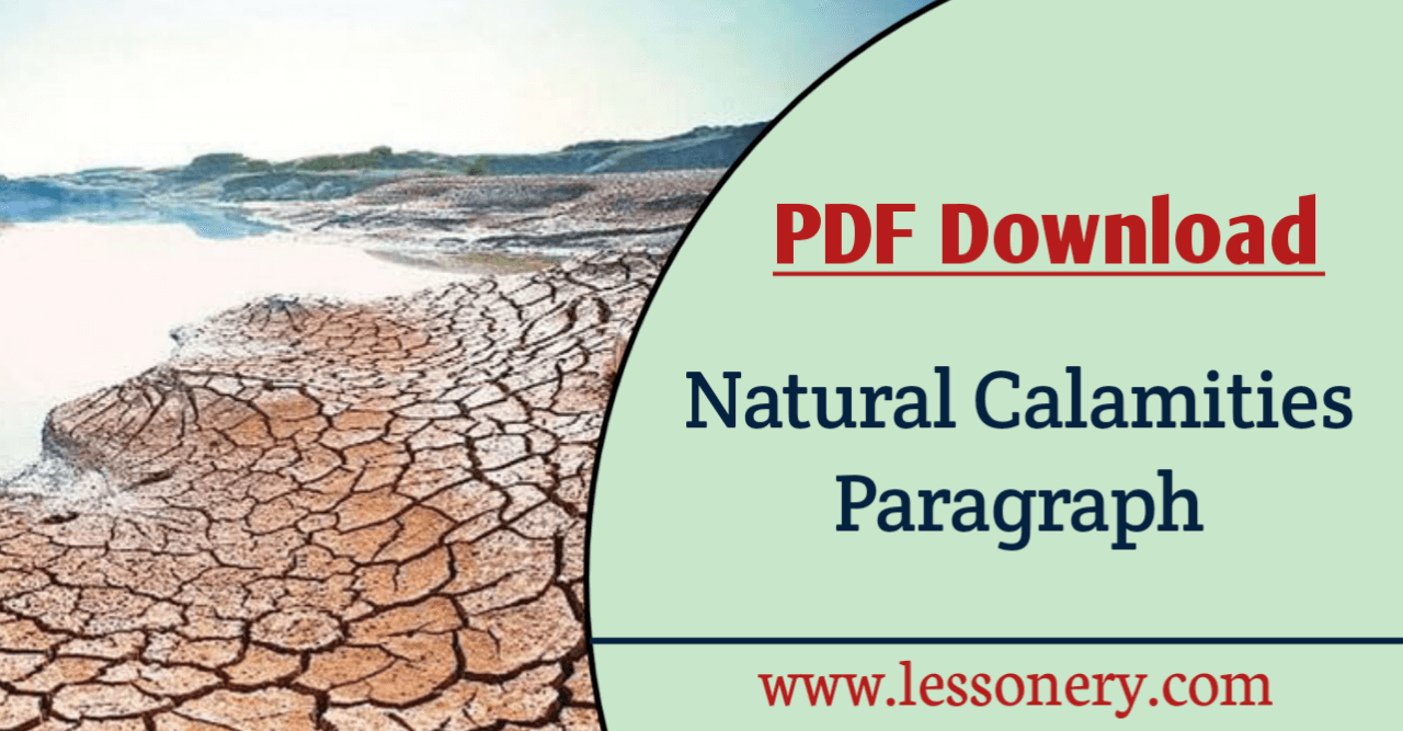 natural calamities essay pdf